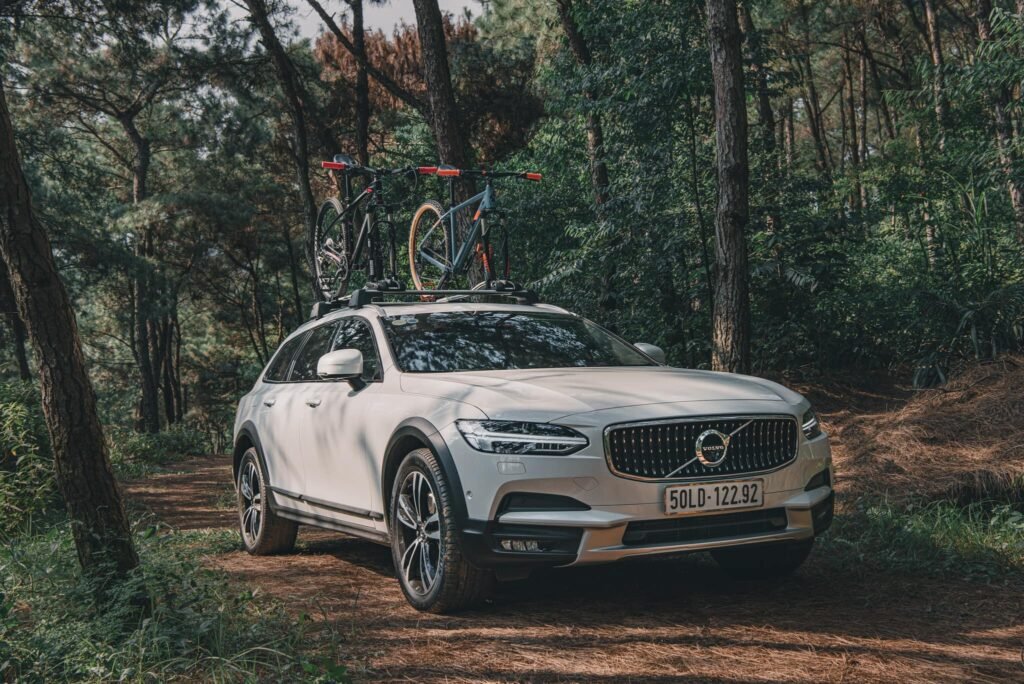 118586662 3575398322512233 6969482035467705045 N