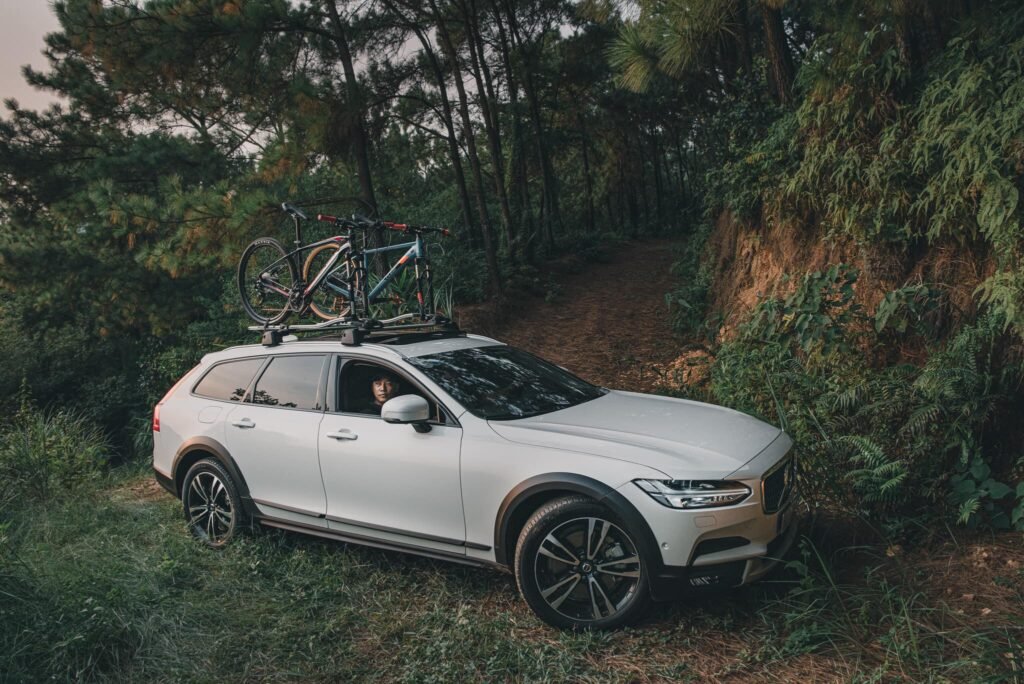 118649102 3575398985845500 1731995139671529987 N